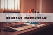 考研成绩怎么查（往届考研成绩怎么查）