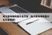 电子游戏场所是什么行业（电子游戏场所是什么行业类别）