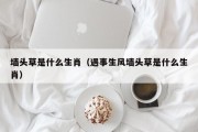 墙头草是什么生肖（遇事生风墙头草是什么生肖）