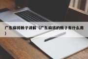 广东麻将赖子讲解（广东麻将的赖子有什么用）
