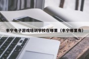 丰宁电子游戏培训学校在哪里（丰宁哪里有）