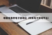 哪里有各种电子游戏玩（所有电子游戏平台）