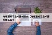 电子游戏专业术语叫什么（电子游戏专业术语叫什么名字）